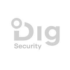 Dig